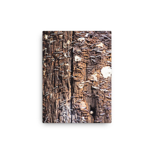 Old Pole - 18 x 12" Canvas Print